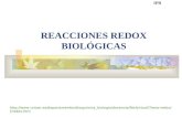 Reacciones REDOX Biológicas