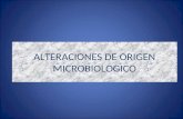 ALTERACIONES MICROBIOLOGICAS