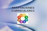 Adaptaciones curriculares- Educación Inclusiva