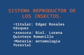 Sistema ReProductOr de Los Insectos