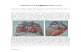 Notas de Cardiología Necroman