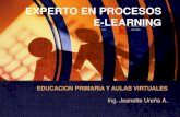 EDUCACION PRIMARIA Y AULAS VIRTUALES