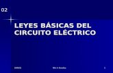 Leyes basicas del circuito eléctrico