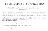FIDEICOMISO FINANCIERO (SECURITIZACIÓN)