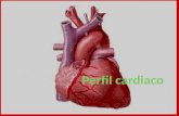 Perfil cardiaco