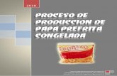 Papa Pre Frita Congelada (Word)