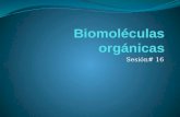 Biomol©culas orgnicasSesi³n_16