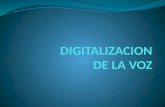 1.3. Digitalizacion de La Voz