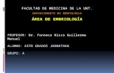 Dr FONSECA RISCO Desarrollo de Cara y Cuello ASTO GRADOS