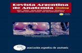 Revista Argentina de Anatomía Online 2010, Vol. 1, Nº 2, págs. 33-80.