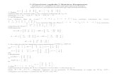 Ejercicios Algebra Matricial