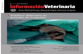 Anestesia Veterinaria en Animales de Compa A