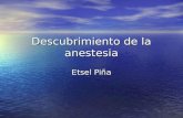 Descubrimiento de La Anestesia (historia de la anestesia)
