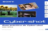 Guía práctica de Cyber-shot - DSC-W310