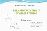 Zearalenona e Islanditoxina