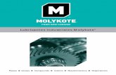 Guía de Selección de Lubricantes Industriales Molykote
