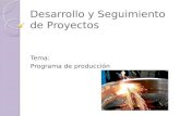 11 Programa de produccion