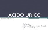 diapositivas-ACIDO URICO