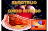 Endotelio y Oxido Nitrico, farmacologia