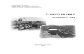 Historia Del Riego en Chile