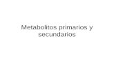 6_Metabolitos primarios y secundarios
