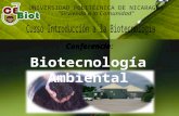 4. Biotecnologia Ambiental 240309