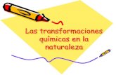 4. Las transformaciones químicas en la naturaleza