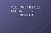 PIELONEFRITIS AGUDA    Y    CRONICA_1
