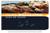 Islas Ballestas - Guía de Fauna
