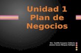 Unidad 1 Plan de Negocios