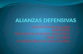 ALIANZAS DEFENSIVAS 22