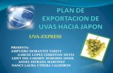 PLAN DE EXPORTACION DE UVAS HACIA JAPON
