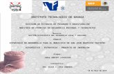 6 Presentacion Diagnostico - Estrategia - Proyecto inversion para Tuxtepec