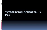 Integracion Sensorial y Pci