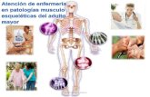 Patologias Musculo-esqueleticas en El Adulto Mayor
