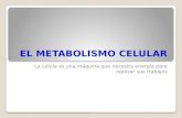 El Metabolismo Celular t Fresca