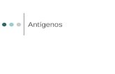 Antigens 2006