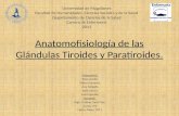 Anatomofisiología de las Glándulas Tiroides y Paratiroides