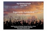 ingenieria metabolica -agrobiotecnologia-