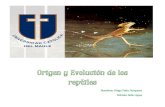 Origen Evolucion Reptiles