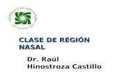 Region Nasal