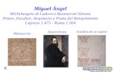 Miguel Angel Diapositivas