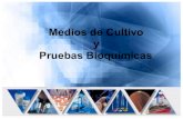 Medios de Cultivo y Pruebas Bioquimica 1225658128608610 9