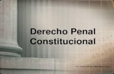 Derecho Penal Constitucional II