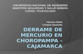 Derrame de Mercurio en Choropampa - Cajamarca