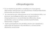 etiopatogenia de esquizofrenia