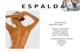 ESPALDA (Artrología - Miología)