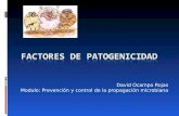Factores de Patogenicidad