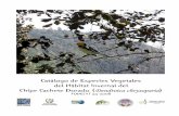 Catalogo de Flora del Habitat Invernal Del Chipe Cachete Dorado