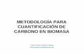 METODOLOGÍA PARA CUANTIFICACIÓN DE CARBONO EN BIOMASA